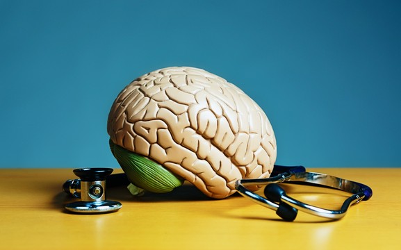 stetoskop i model mózgu